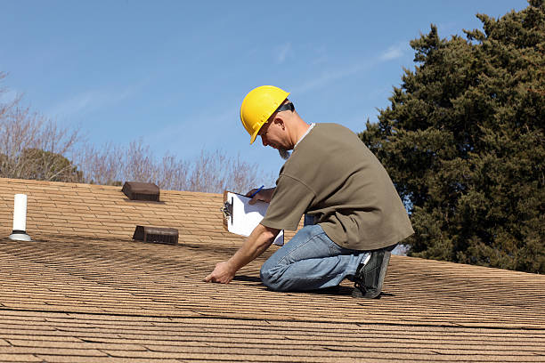 Best Roof Moss and Algae Removal  in Bentonville, AR